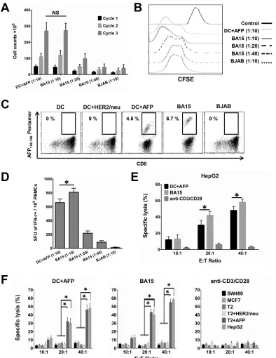 Figure 4: Activation and expansion of functional AFP158-166-specific CTLs with BA15 cells