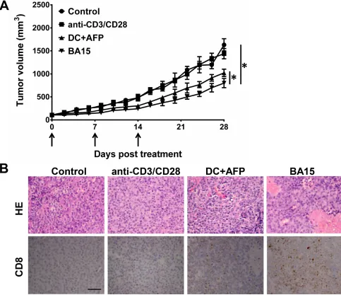Figure 5: Suppression of tumor growth in vivo by AFP158-166-specific CTLs generated by BA15 cells