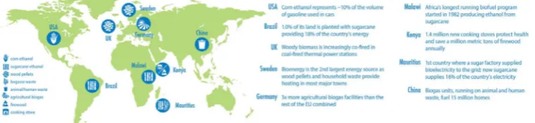Fig. 1. Examples of biofuels, bioelectricity, biogas and heat from biomass that are increasingly contributing to energy supply around the world