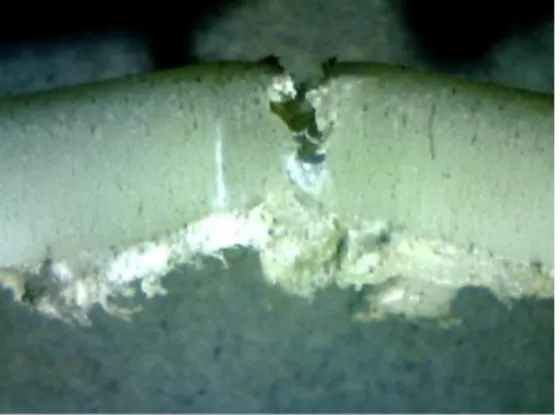 Fig. 10 Macro tested specimen 