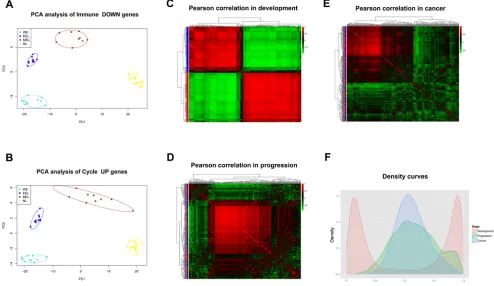 Figure 4: Gene expression and Pearson correlation pattern analyses. A.-B. PCA analyses with Immune DOWN and Cycle UP genes recapitulating the trajectory of human lung development