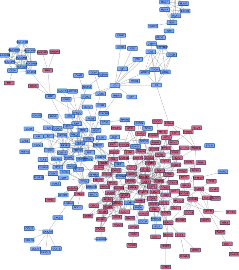 Figure 5: The largest Immune DOWN and Cycle UP gene component within the merged biological network