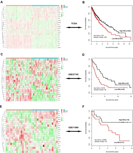 Figure 6: Survival analysis of the significant 22-gene module in three independent testing cohorts