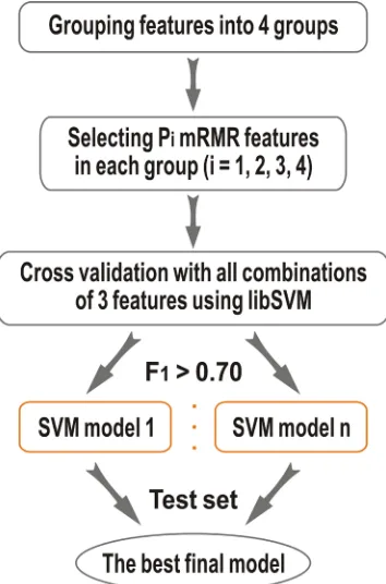 Figure 1: The framework of the present HEP method.