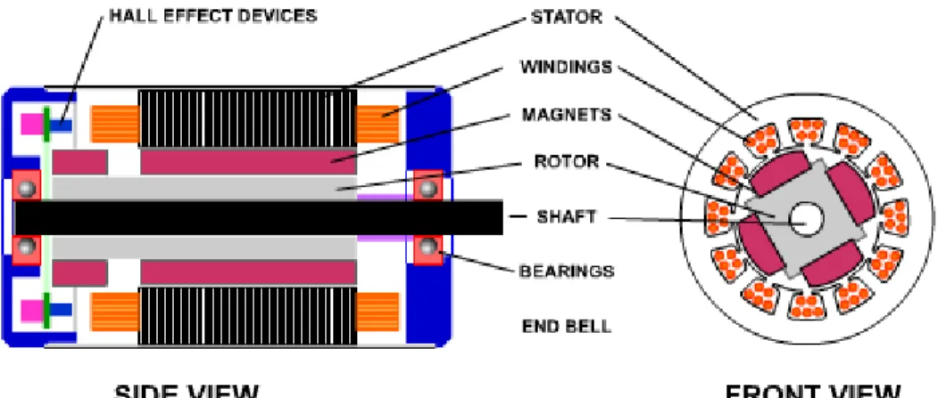 Figure 2.2: Cross section of BLDC motor (Brown, 2009) 