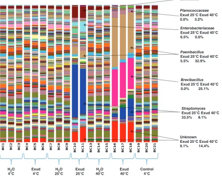 Figure 3 Bacterial composition of soil samples inferred from the analysis of DNA. Percentage abundance of 16S rRNA amplicons for selected groups aredisplayed