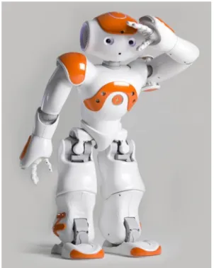Figure 3.1. The Nao robot