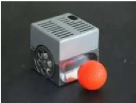 Figure 3.1: Maibot Pro BT’ Robot