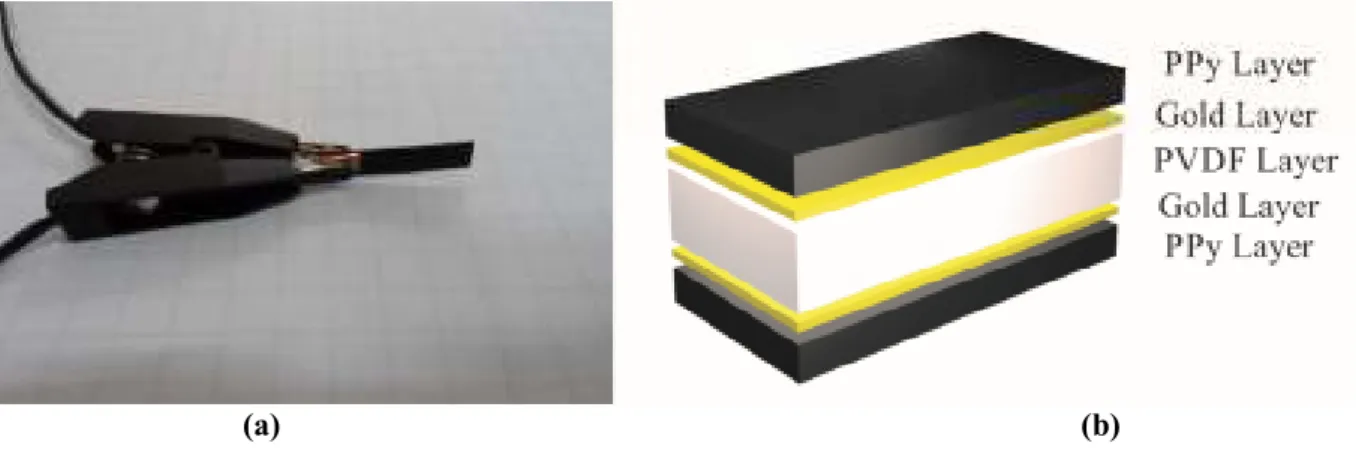 Figure 1. Conducting Polymer actuator: (a) optical image and (b) schematic view of the PPy actuator