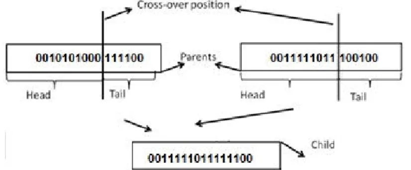Figure 2.1: A sample Cross-Over 
