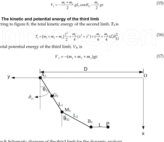 Figure 8: Schematic diagram of the third limb for the dynamic analysis. 