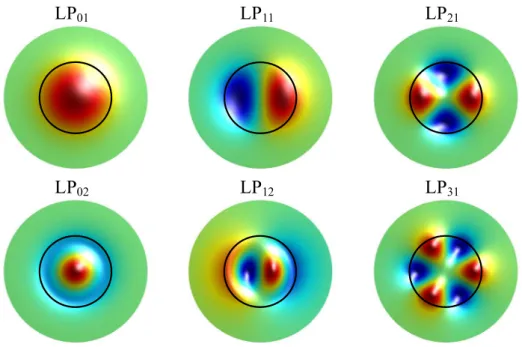 Figure 2.2: Few modes field distribution. Black circle: core-cladding boundary.