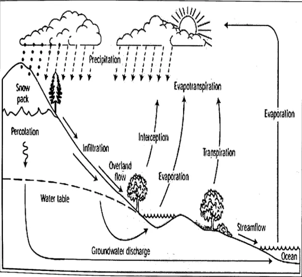 Figure 2.1:  The hydrologic cycle