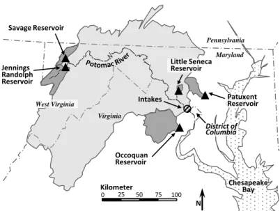 FIG. 1. Potomac watershed and Washington, DC, water supply; Potomac watershed shown in lighter shade, with reservoir watershed shown in a darker shade; reservoirs shown as triangles and intakes for the Washington, DC, metropolitan area shown as a hashed ci