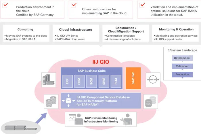 Figure 1: IIJ GIO for SAP Solution