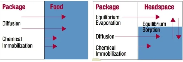 Figure 1.5.1 Food packaging systems and migration phenomena (Han, 2000) 