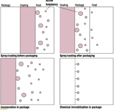 Figure 1.5.2 Migration of active particles (Han, 2000) 