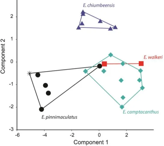 Figure 1.7.  Scatterplots showing results of principal components analysis of meristic  data, colour coded by species and with minimum spanning polygons shown