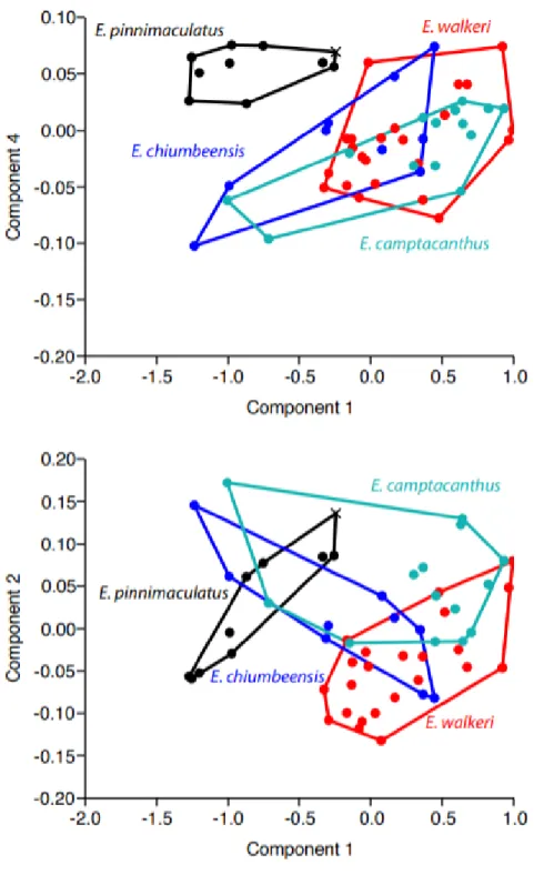 Figure 1.9. Scatterplots showing results of principal components analysis of (a)  length of the barbels (PC2, 1.26%) and (b) length of the caudal peduncle (PC4,  0.50%) against standard length of specimen (PC1, 96.11, colour coded by species  and with mini