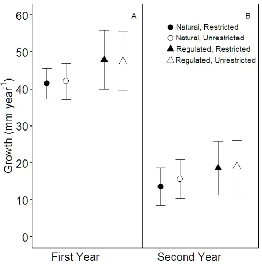 Figure 2.2 Annual first (A) and second (B) year growth (mm·year  -1 ) with error bars indicating ±  standard deviation for the naturally flowing Batchawana River (circles) and the regulated Magpie  River (triangles)