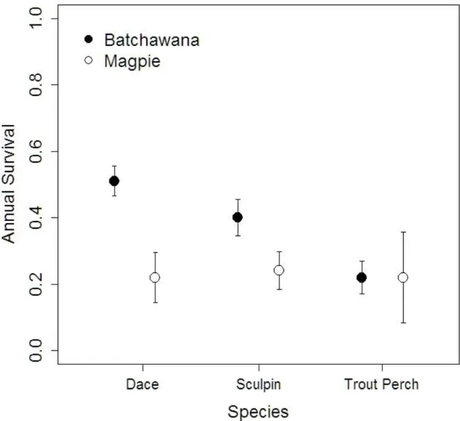 Figure 3.2. Annual survival ± 95% confidence intervals of longnose dace, slimy sculpin and trout  perch in the naturally flowing Batchawana River (●) and the regulated Magpie River (○)