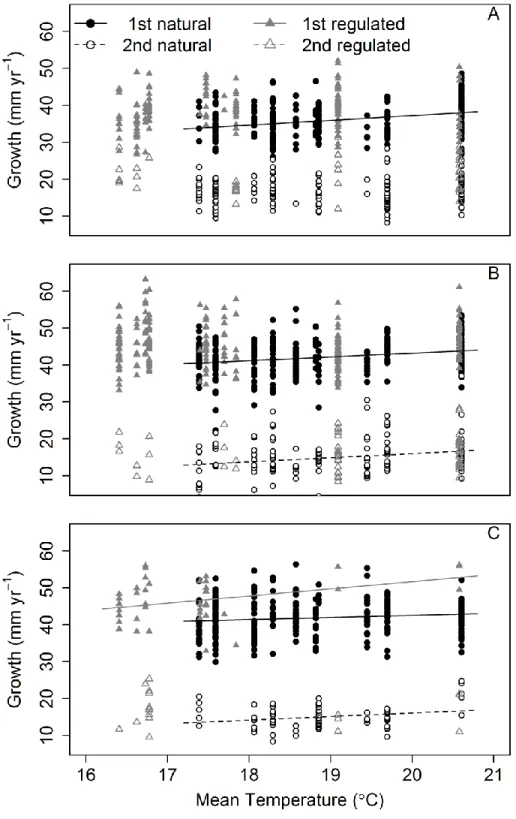 Figure 3.4. Longnose dace (A), slimy sculpin (B), and trout perch (C) first (solid symbols) and  second (open symbols) year annual growth and mean summer temperature (°C) in the naturally  flowing Batchawana (○) and regulated Magpie (Δ) Rivers