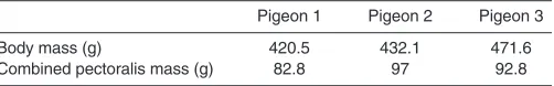 Table 1. Morphological measurements for three pigeons included inthis study