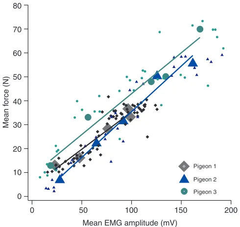 Fig.for which statistically significant differences (P<0.05) were observed.pigeons during WAIR at 65 and 855