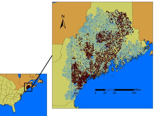 Figure 2.5.: Location of artificial and natural barriers (represented by small dots) across the State of Maine.