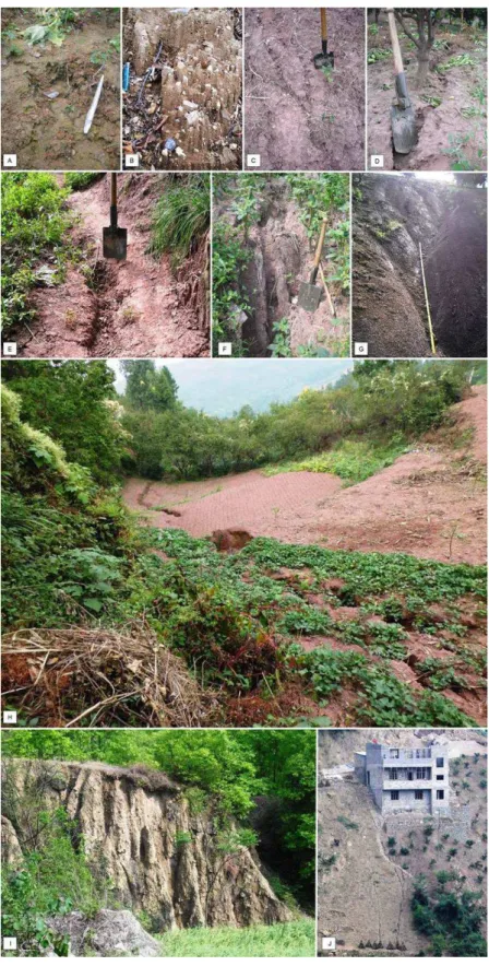 Figure 8 Soil erosion in the  Xiangxi catchment. 