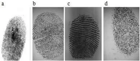 Fig 7 (a); Fig 7 (b); Fig 7 (c): Fig 7 (d)  Table 2. Properties of fingerprint images 