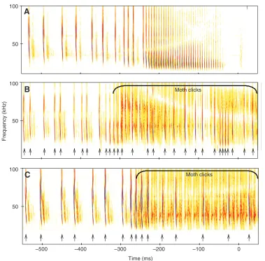 Fig.5. Spectrograms of three attackson silent control or clicking