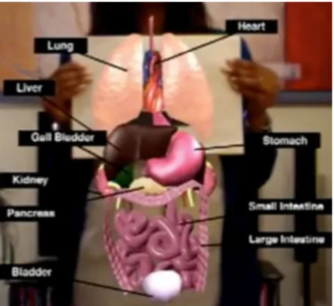 Figure 5. A model of human beings’ internal organs with AR technology that can be used in Biology class  (Retrieved from http://www.learnar.org)