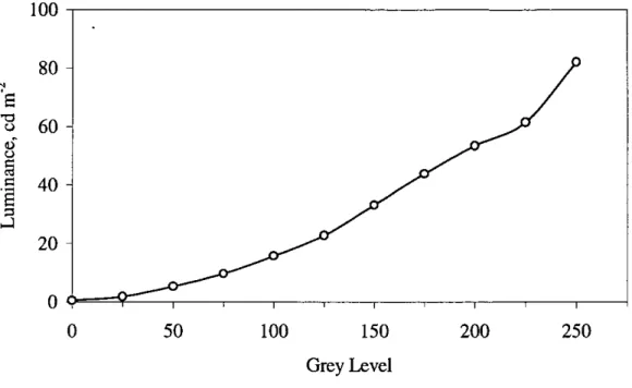 Figure 2.2 Typical Grey-level-to-luminance Transformation 