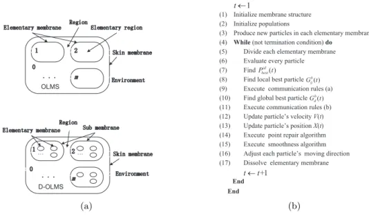 Figure 3: Membrane structures and the pseudocode algorithm for mMPSO