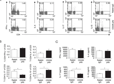 Figure 5: CD226 pAb promotes CD4+IL-10+ T cell differentiation of splenocytes in EAE mice in vivo