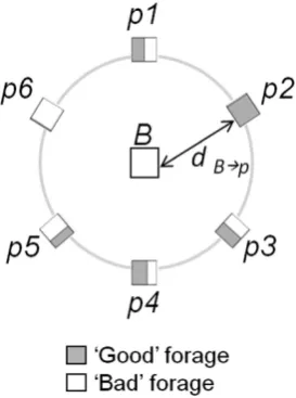 Figure 1. and six foraging patches (squares Foraging arena. The arena consisted of a circle (diameter 10 m) with a home base (B) at the centre p1, ..., p6) at the edge, arranged every π/3 radians