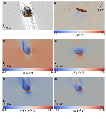 Figure 4: Hull at 75º to flow. (a) 2-dimensional flowlines, (b) 3-dimensional flowlines, (c) 