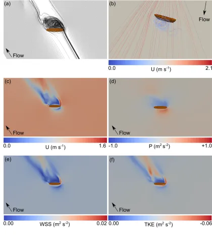 Figure 5: Hull at 60º to flow. (a) 2-dimensional flowlines, (b) 3-dimensional flowlines, (c) 