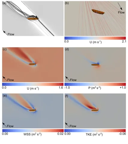 Figure 6: Hull at 45º to flow. (a) 2-dimensional flowlines, (b) 3-dimensional flowlines, (c) 