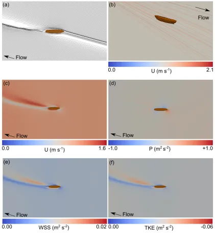 Figure 7: Hull at 30º to flow. (a) 2-dimensional flowlines, (b) 3-dimensional flowlines, (c) 