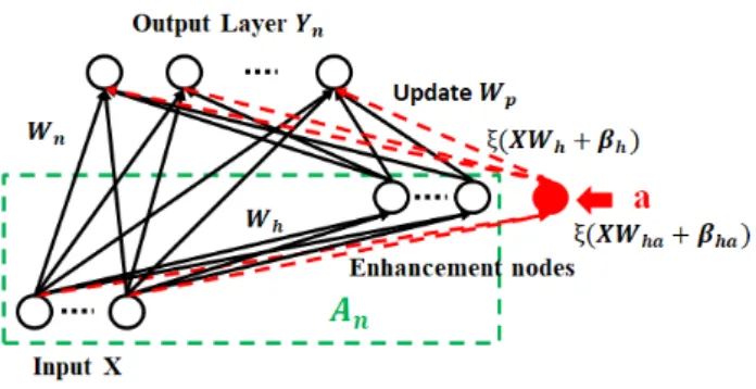 Fig. 1. The structure and updating algorithm for Functional-link neural network (modified from [19]).