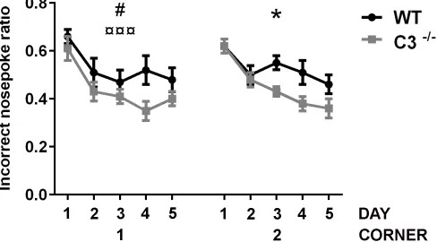 Figure 5: Functional effects of IR in the absence of C3. The effects on memory and learning were investigated using the IntelliCage platform