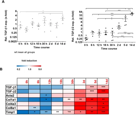 Figure 4: TGF-β1, TGF-β2 and fibrotic marker expression in the bile duct ligation (BDL) model for cholestasis and secondary biliary fibrosis