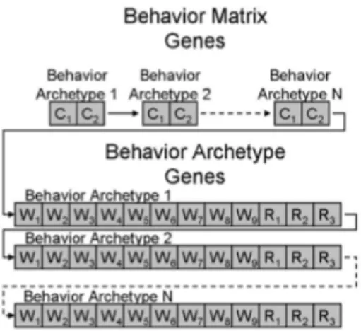 Figure 7: Chromosome of Behavior Archetype Genes [6] 