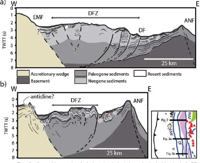 Figure 3.  Structural interpretation of seismic sections in the Andaman showing backthrusting in the DF (Diligent Fault), anticline in the EMF (Eastern Margin Fault), and ANF (Andaman Nicobar Fault) to the south of Andaman Spreading Center (ASC)