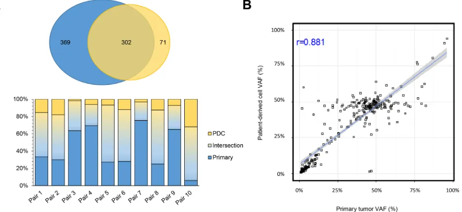 Figure 2: Primary tumor location and somatic mutations. (A) Frequencies of genomic alterations according to KRAS mutation status in 105 CRC patients (B) Distributions of genomic alterations according to anatomic sites of primary tumor, right versus left versus rectal cancer.