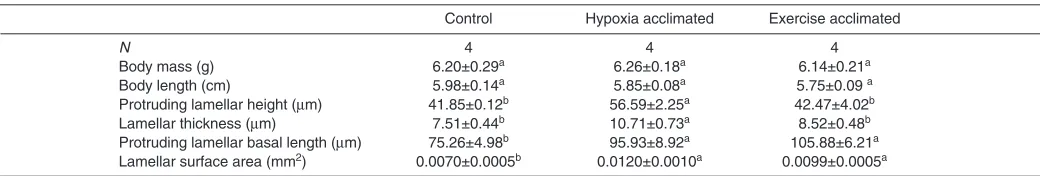 Table 3. Effect of control conditions and acclimation to hypoxia or sustained exercise on gill morphology in goldfish 