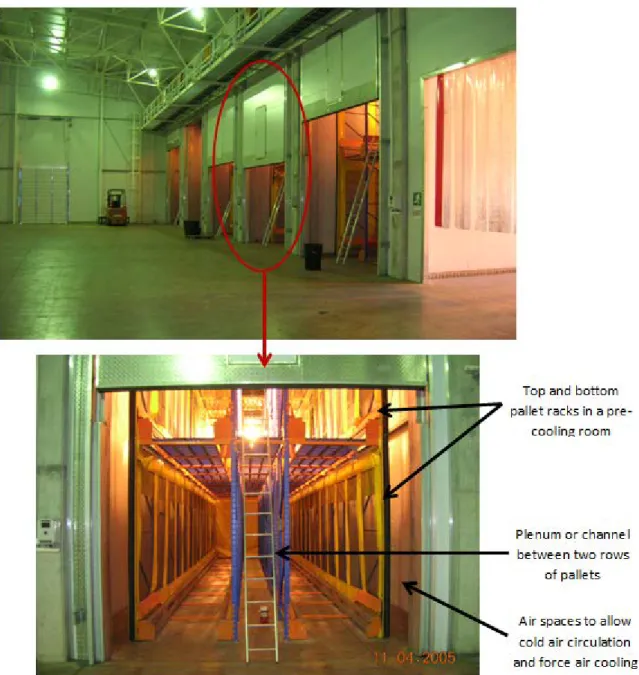 Figure 2: Pre-cooling rooms with racking system