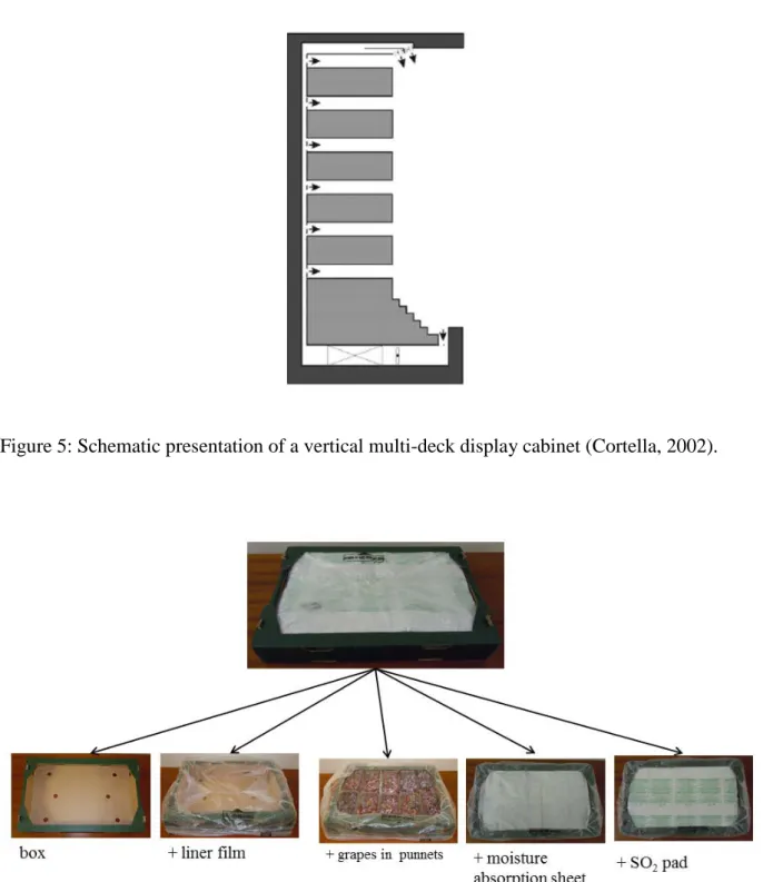 Figure 5: Schematic presentation of a vertical multi-deck display cabinet (Cortella, 2002)